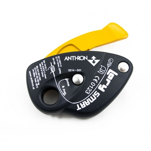 ANTHRON LORY SMART