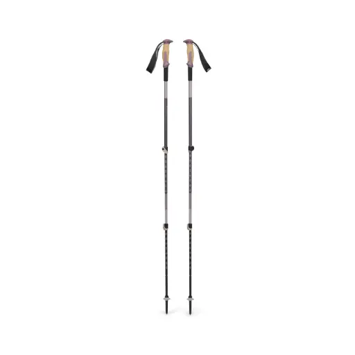 BD TRAIL VISTA SHOCK TREK POLES