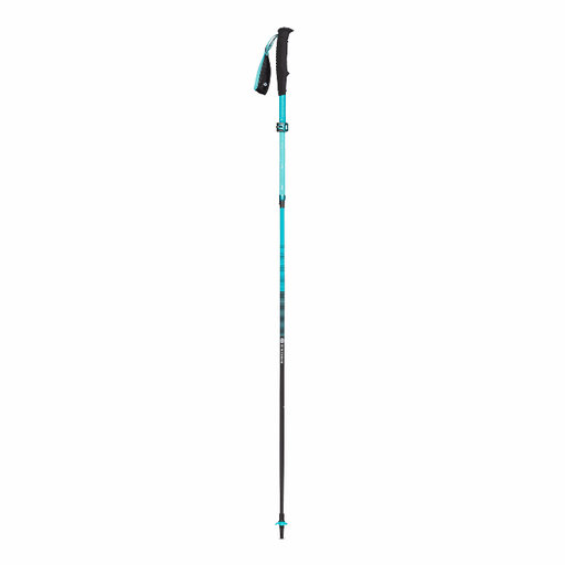 [ACCB11.03S] BD W DISTANCE CARBON Z POLES 110cm - Single