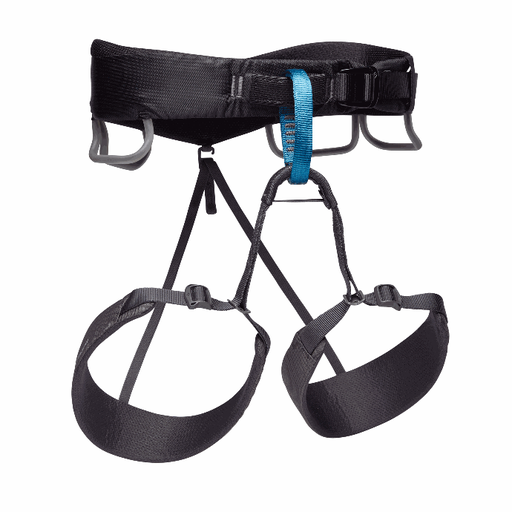 BD M MOMENTUM HARNESS
