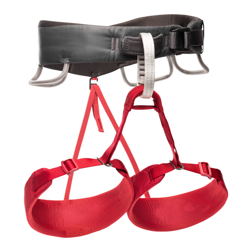 BD W MOMENTUM HARNESS