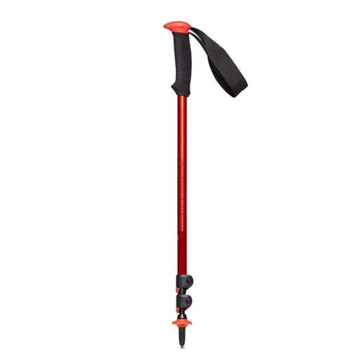 [ACCB04.04P] BD TRAIL SPORT - Singles